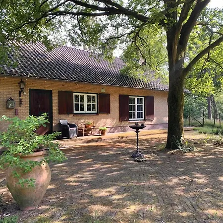 Ferienhaus Mc Ghil