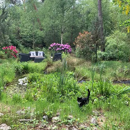 Mc Ghil Prázdninový dům *